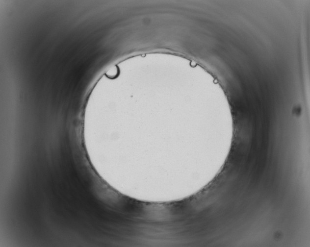 X0000103931524200810311505