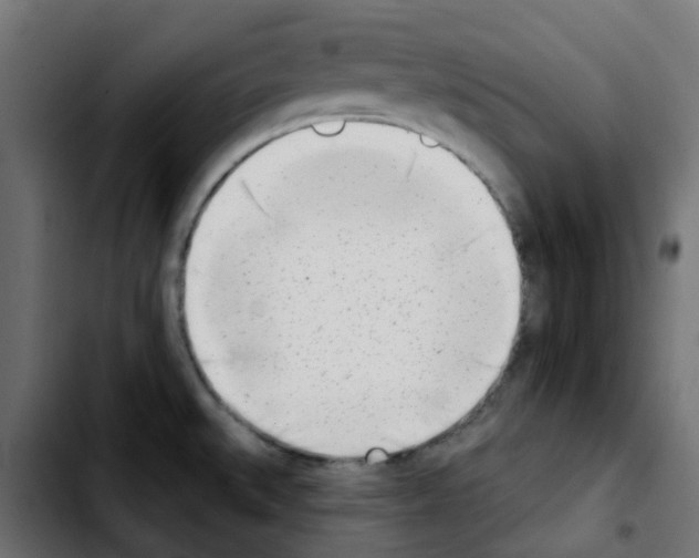 X0000103931527200810311505