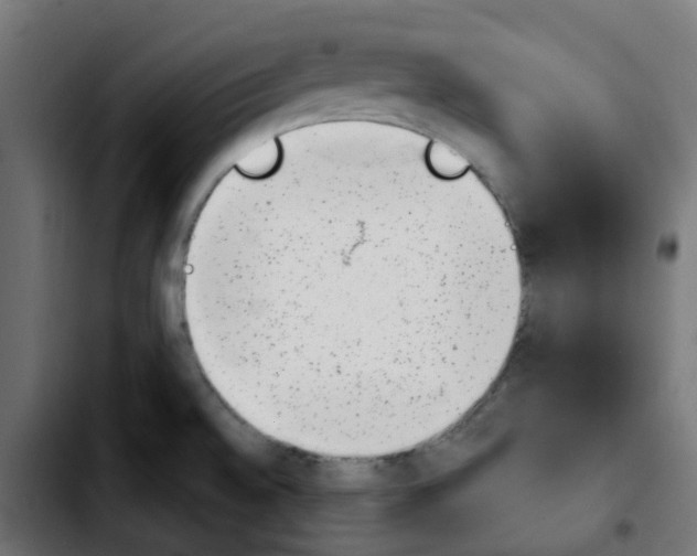 X0000103931528200810311505