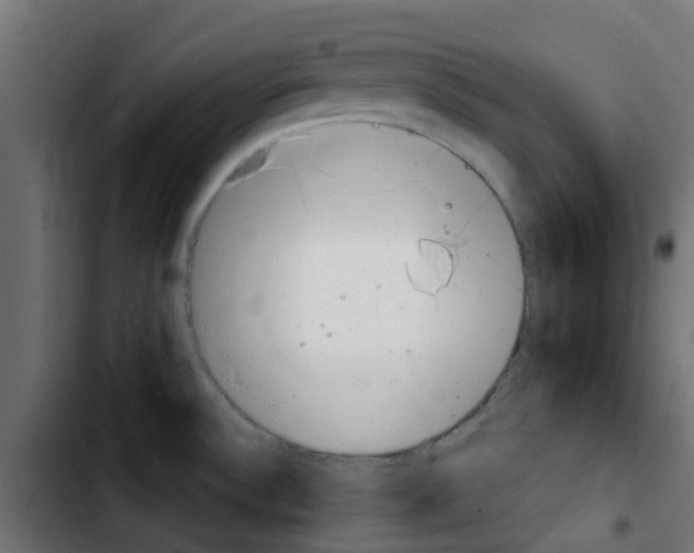 X0000103931532200810311505