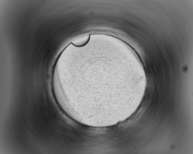 X0000103931533200810311505