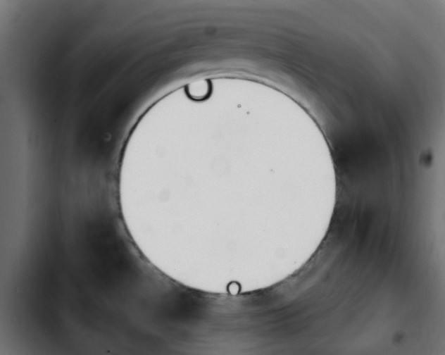 X0000103931534200810311505