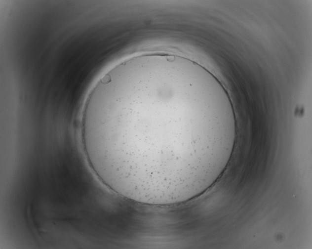 X0000103931536200810311505