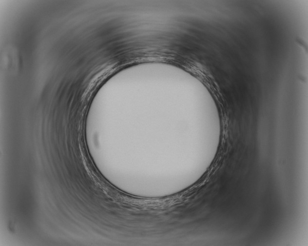 X0000103940001200809191158