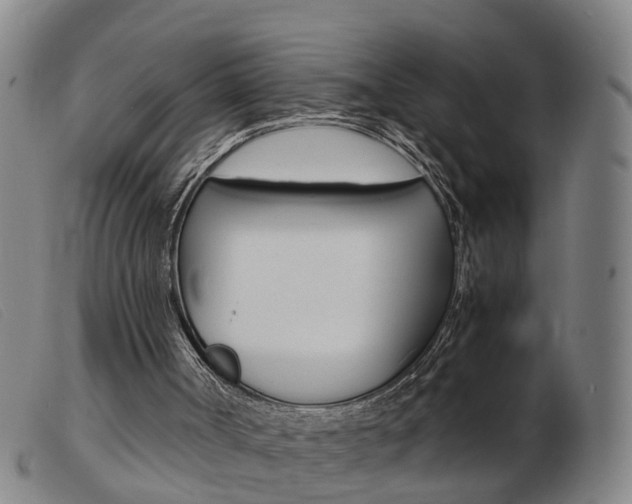 X0000103940002200809191158