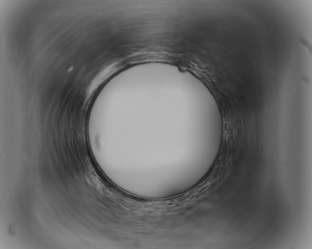 X0000103940004200809191158