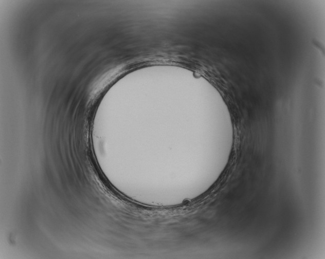 X0000103940005200809191158