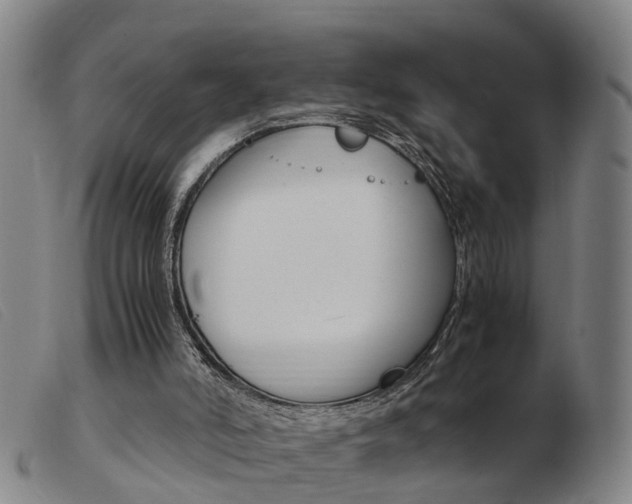 X0000103940006200809191158
