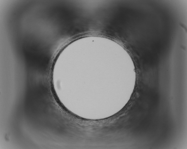 X0000103940007200809191158