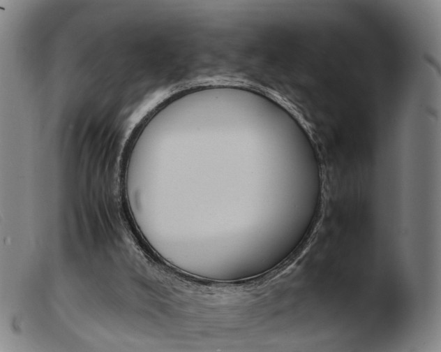 X0000103940008200809191158