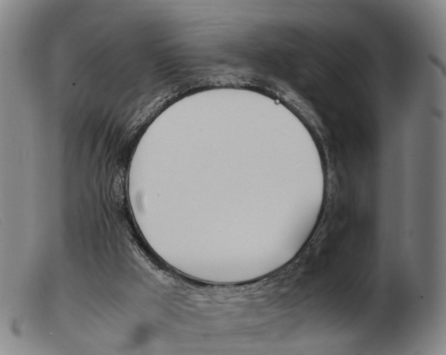 X0000103940009200809191158