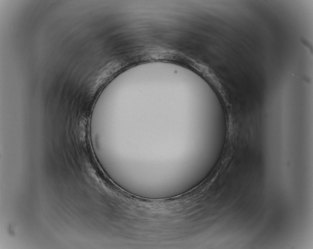 X0000103940010200809191158