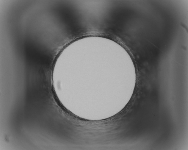 X0000103940011200809191158