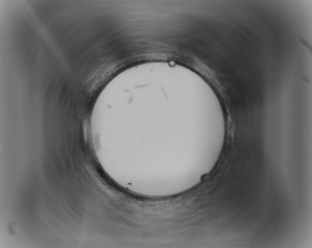 X0000103940013200809191158