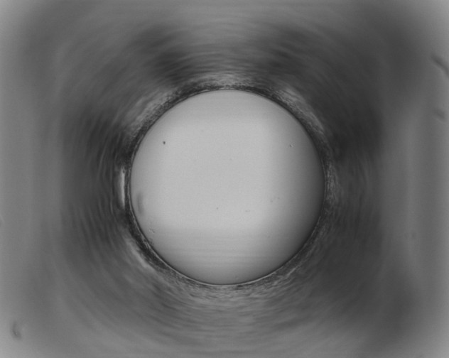 X0000103940014200809191158