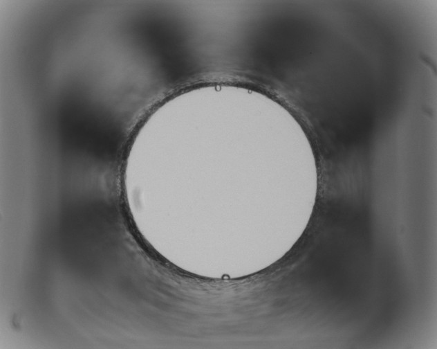 X0000103940015200809191158