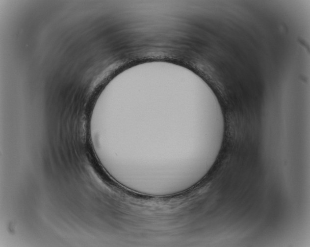 X0000103940016200809191158