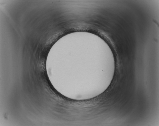X0000103940017200809191158
