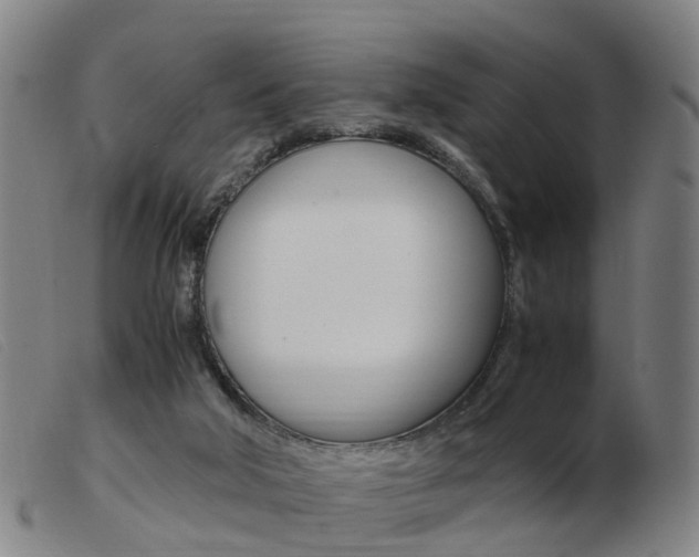 X0000103940018200809191158