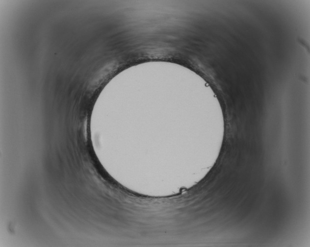 X0000103940019200809191158