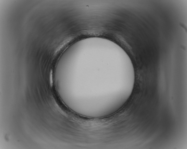 X0000103940020200809191158