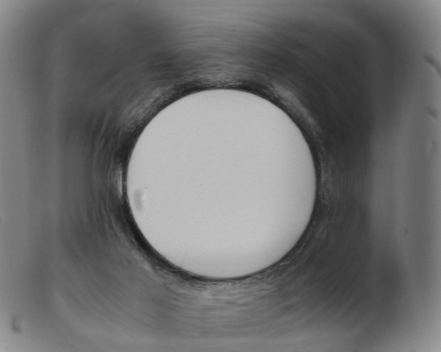 X0000103940021200809191158