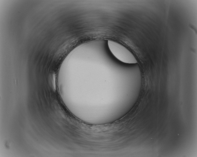 X0000103940022200809191158