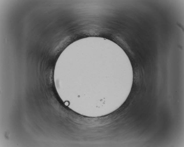 X0000103940023200809191158