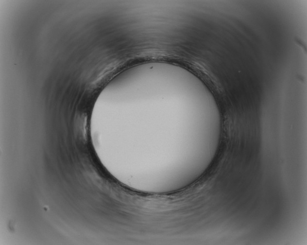 X0000103940024200809191158