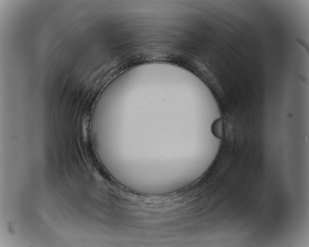 X0000103940026200809191158