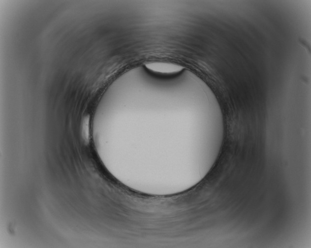 X0000103940028200809191158