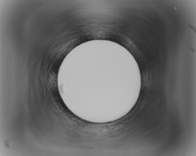 X0000103940029200809191158