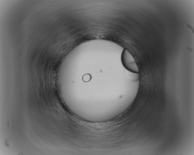 X0000103940030200809191158