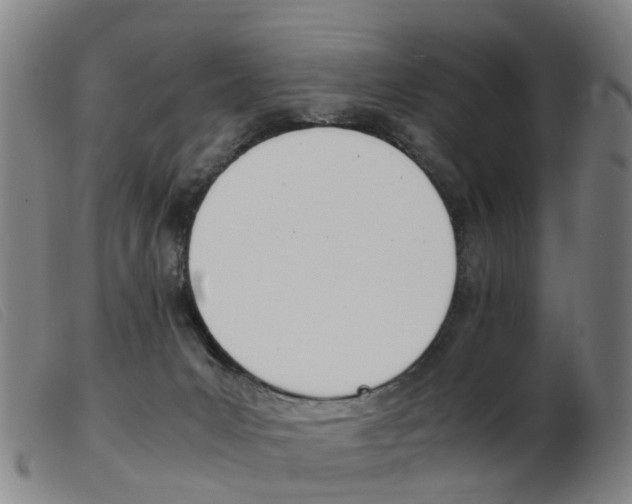 X0000103940031200809191158