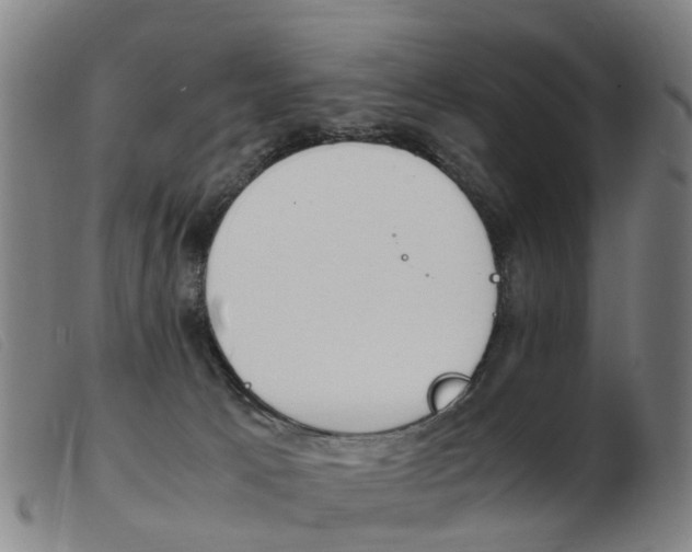 X0000103940033200809191158