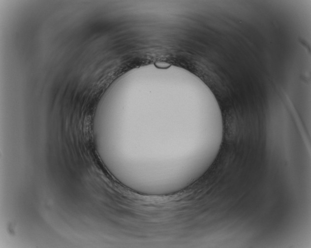 X0000103940034200809191157