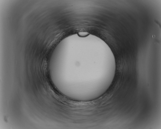 X0000103940036200809191157
