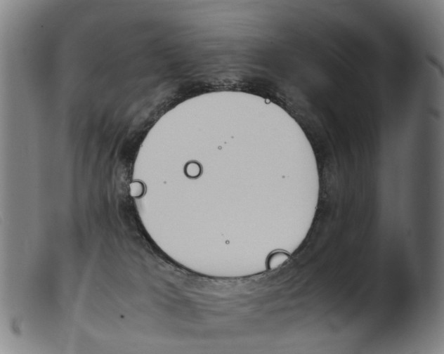 X0000103940037200809191157