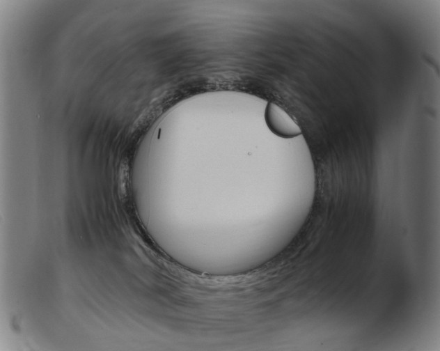 X0000103940038200809191157
