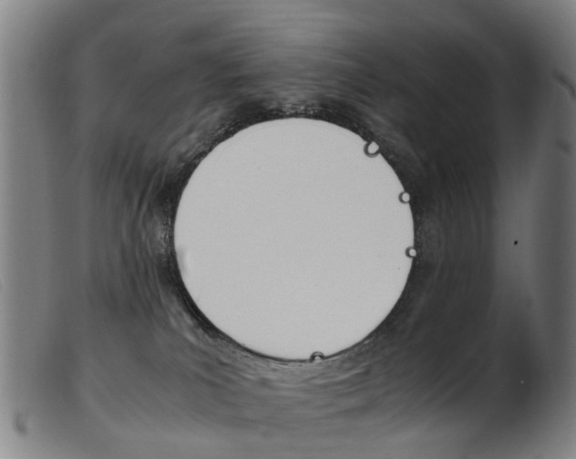 X0000103940039200809191157