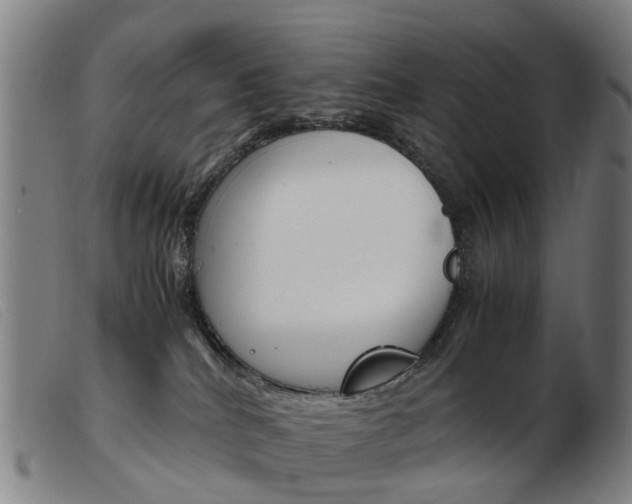 X0000103940040200809191157