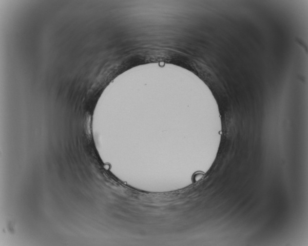 X0000103940041200809191157