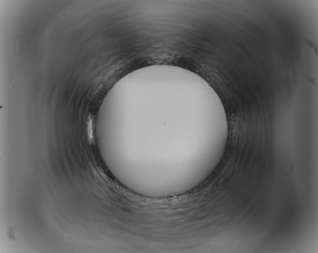 X0000103940042200809191157