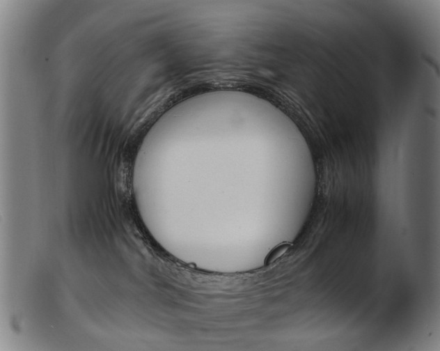 X0000103940044200809191157