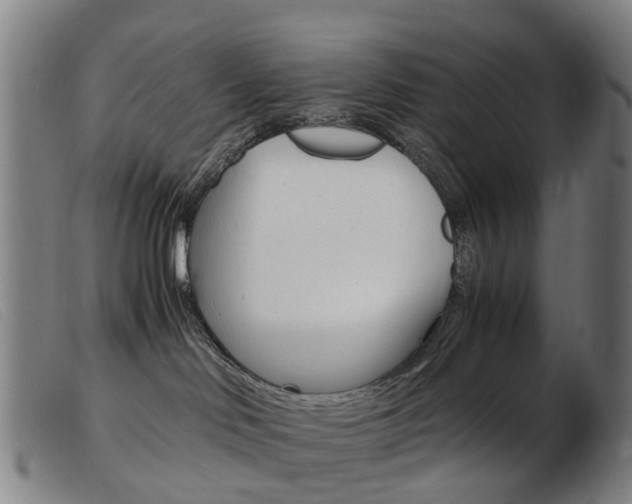 X0000103940046200809191157