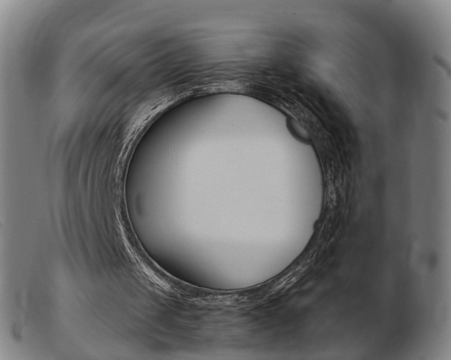 X0000103940049200809191157