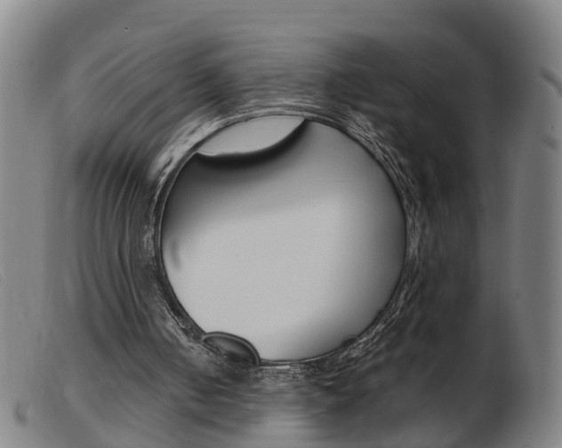 X0000103940050200809191157