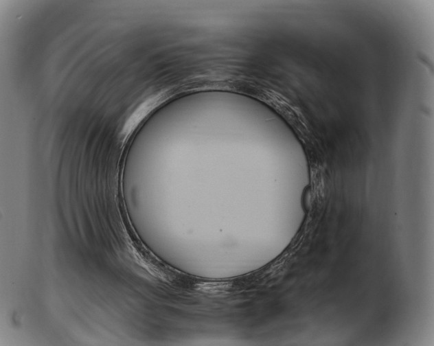 X0000103940051200809191157