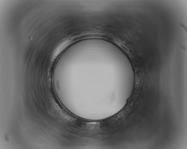 X0000103940053200809191157