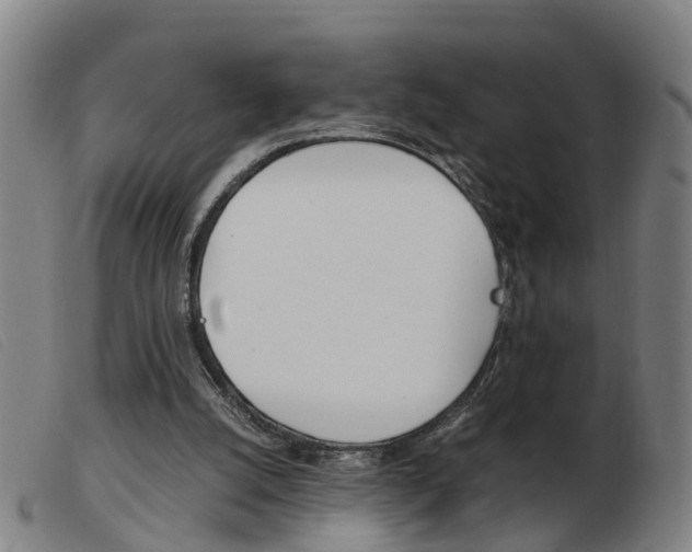 X0000103940056200809191157